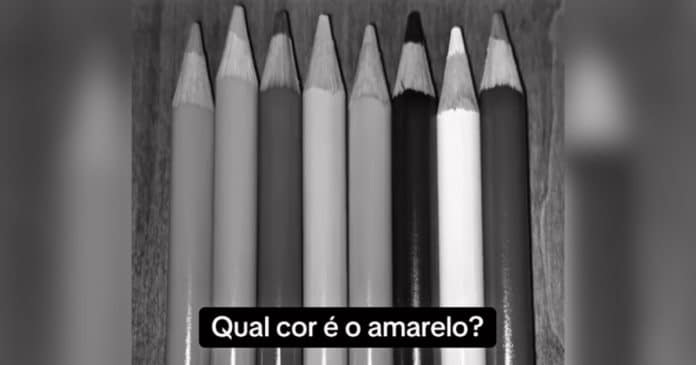 “Teste de intuição”: Você sabe qual lápis é o amarelo?