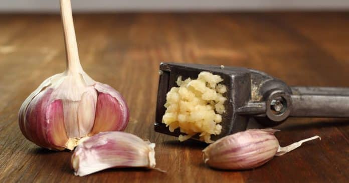 Utensílios de cozinha que muitos de nós compramos mas NUNCA usamos