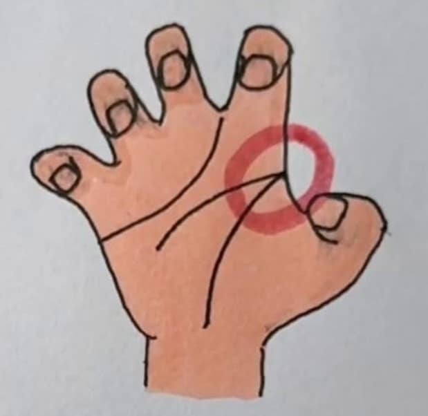 A posição destas linhas na palma da sua mão pode revelar aspectos ocultos da sua essência mais profunda sabiaspalavras.com - A posição destas linhas na palma da sua mão pode revelar aspectos ocultos da sua essência mais profunda