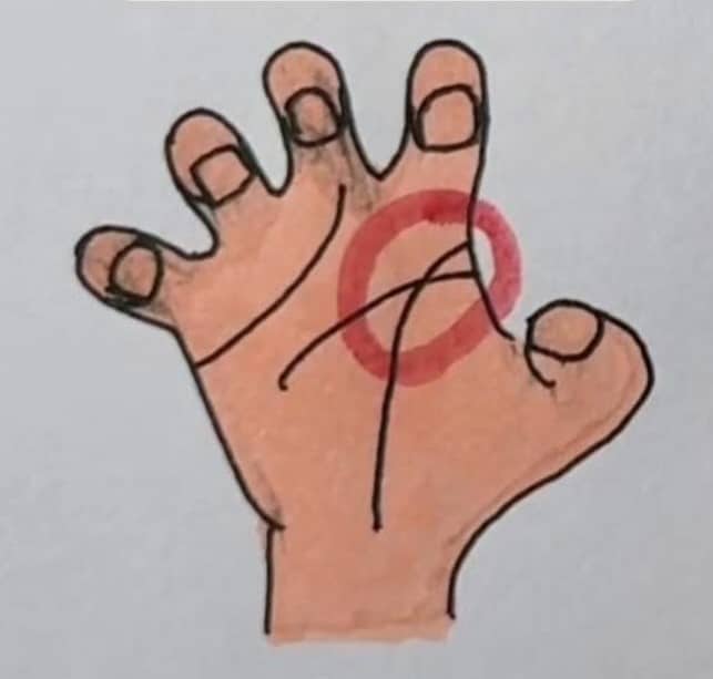 A posição destas linhas na palma da sua mão pode revelar aspectos ocultos da sua essência mais profunda sabiaspalavras.com - A posição destas linhas na palma da sua mão pode revelar aspectos ocultos da sua essência mais profunda