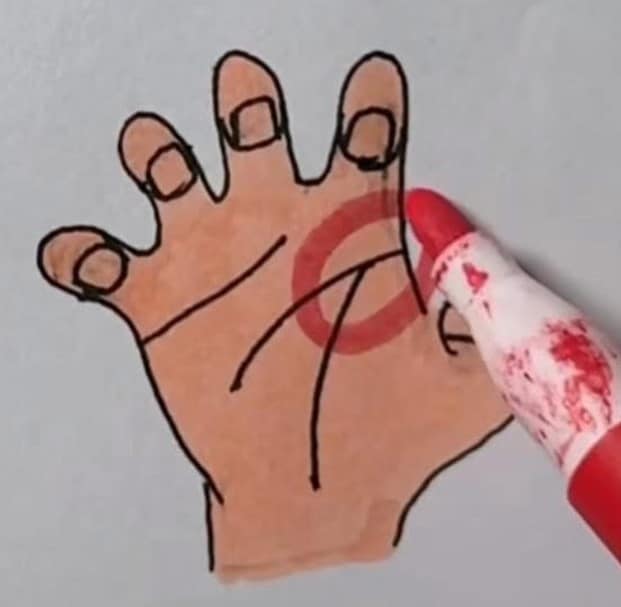 A posição destas linhas na palma da sua mão pode revelar aspectos ocultos da sua essência mais profunda sabiaspalavras.com - A posição destas linhas na palma da sua mão pode revelar aspectos ocultos da sua essência mais profunda