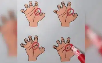 sabiaspalavras.com - Sábias Palavras