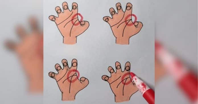 a-posicao-destas-linhas-na-palma-da-sua-mao-pode-revelar-aspectos-ocultos-da-sua-essencia-mais-profunda (5) A posição destas linhas na palma da sua mão pode revelar aspectos ocultos da sua essência mais profunda