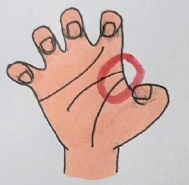 A posição destas linhas na palma da sua mão pode revelar aspectos ocultos da sua essência mais profunda sabiaspalavras.com - A posição destas linhas na palma da sua mão pode revelar aspectos ocultos da sua essência mais profunda