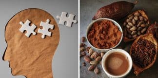 Cacau pode “reverter” memória para 30 anos mais jovem; mostra estudo sobre bebida rica em flavonóides Cacau pode “reverter” memória para 30 anos mais jovem; mostra estudo sobre bebida rica em flavonóides