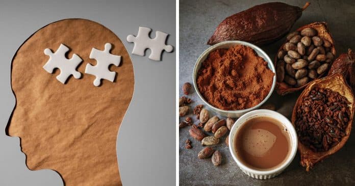 Cacau pode “reverter” memória para 30 anos mais jovem; mostra estudo sobre bebida rica em flavonóides