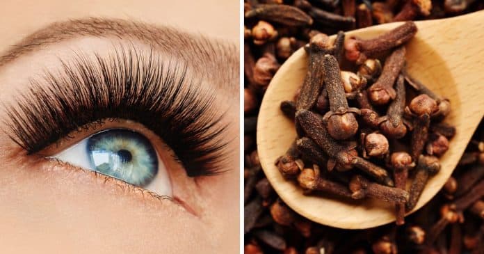 descubra-como-ter-sobrancelhas-mais-cheias-e-cilios-mais-longos-em-apenas-7-dias Descubra como ter sobrancelhas mais cheias e cílios mais longos em apenas 7 dias