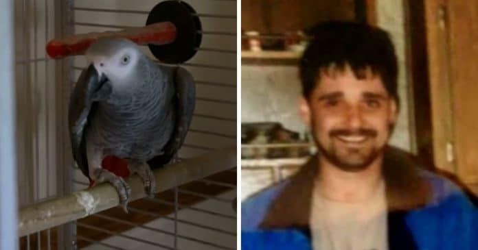 papagaio-que-testemunhou-morte-do-dono-comecou-a-repetir-suas-ultimas-palavras-e-ajuda-a-condenar-a-verdadeira-assassina Papagaio que testemunhou morte do dono começou a repetir suas últimas palavras – ajudando a condenar a verdadeira assassina