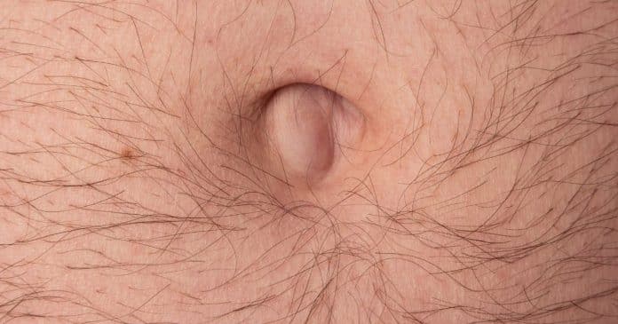 saiba-o-que-significa-ter-muitos-pelos-crescendo-na-barriga-e-envolta-do-umbigo-e-quando-e-motivo-de-alerta Saiba o que significa ter ‘muitos pelos crescendo na barriga e envolta do umbigo’ – e quando é motivo de alerta