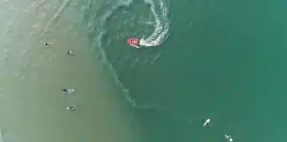 Só quem tem “visão de sniper” consegue achar este tubarão escondido no oceano Só quem tem “visão de sniper” consegue achar este tubarão escondido no oceano