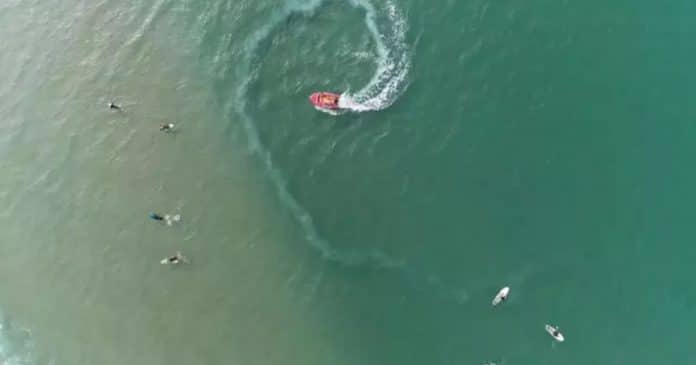 Só quem tem “visão de sniper” consegue achar este tubarão escondido no oceano