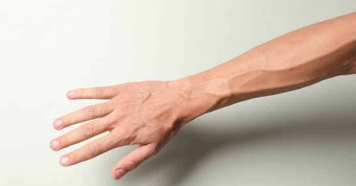suas-veias-estao-mais-aparentes-descubra-o-que-isso-realmente-significa-para-sua-saude Suas veias das mãos estão mais aparentes? Descubra o que isso realmente significa