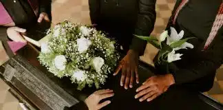 sabiaspalavras.com - Sábias Palavras