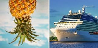 Abacaxi de cabeça para baixo em cruzeiros: O significado secreto que está surpreendendo passageiros