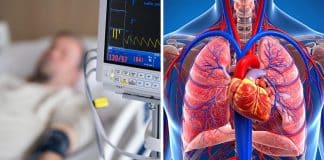 Com aumento de pessoas morrendo de insuficiência cardíaca, médicos alertam 4 hábitos que devem ser abandonados agora mesmo Com aumento de pessoas morrendo de insuficiência cardíaca, médicos alertam 4 hábitos que devem ser abandonados agora mesmo