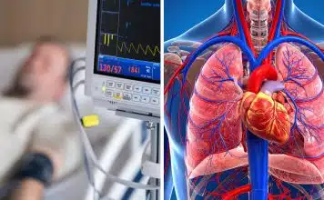 sabiaspalavras.com - Sábias Palavras