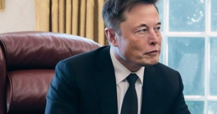 Declaração de Elon Musk sobre “definição de mulher” gera forte reação nas redes sociais