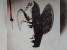 Depois de visto não pode ser desvisto: Quanto tempo demorou para você realmente conseguir ver?