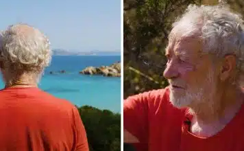 sabiaspalavras.com - S&aacute;bias Palavras