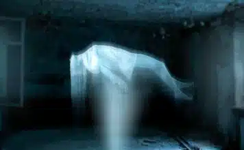 sabiaspalavras.com - S&aacute;bias Palavras