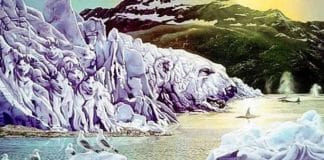 O animal que você vê primeiro revela se as pessoas conseguem TE ENGANAR facilmente