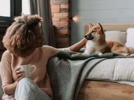 O estudo que emocionou tutores: imagens cerebrais revelam o que os cães realmente sentem por você