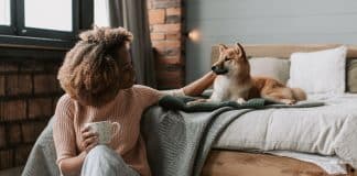 O estudo que emocionou tutores: imagens cerebrais revelam o que os cães realmente sentem por você