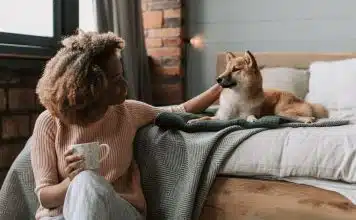 sabiaspalavras.com - Sábias Palavras