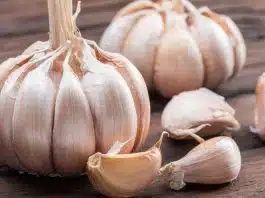 O poder do alho: por que ele é considerado um antibiótico natural pela ciência – e como usar