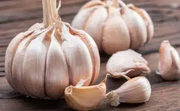 sabiaspalavras.com - S&aacute;bias Palavras