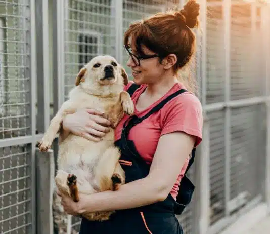 Você faria uma prova para ter um pet? Na Alemanha isso já é realidade