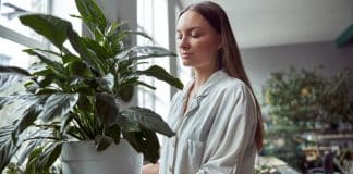 A planta de cada signo do zodíaco – e o que ela atrai