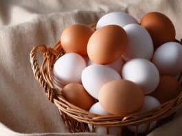 Está guardando ovos desse jeito? Esse erro comum pode estragá-los muito mais rápido do que você imagina