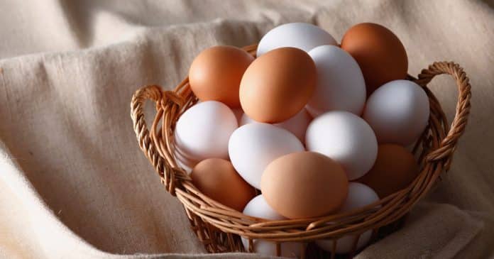 Está guardando ovos desse jeito? Esse erro comum pode estragá-los muito mais rápido do que você imagina