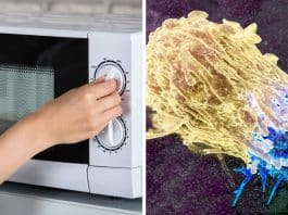 NUNCA aqueça isso no micro-ondas: pode aumentar risco desses tipos de câncer, alerta especialista