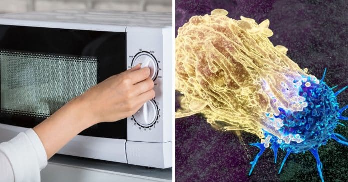 NUNCA aqueça isso no micro-ondas: pode aumentar risco desses tipos de câncer, alerta especialista