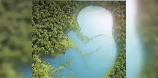 O que você notar primeiro nesta ilusão de ótica pode revelar se você é ‘direto e confiante’ ou ‘generosa até demais com os outros’