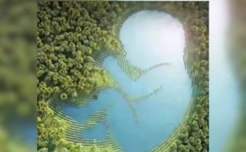 sabiaspalavras.com - S&aacute;bias Palavras