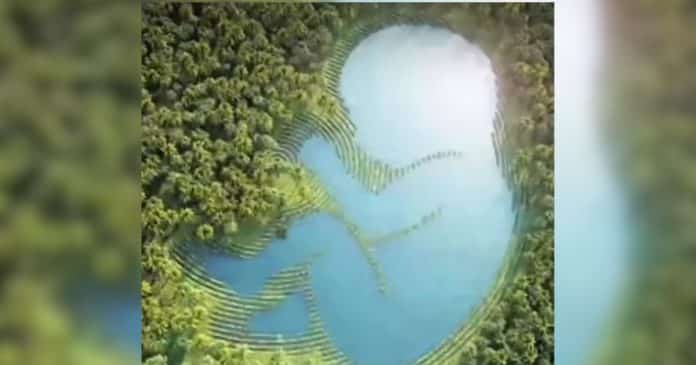 O que você notar primeiro nesta ilusão de ótica pode revelar se você é ‘direto e confiante’ ou ‘generosa até demais com os outros’