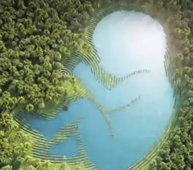 sabiaspalavras.com - O que voc&ecirc; notar primeiro nesta ilus&atilde;o de &oacute;tica pode revelar se voc&ecirc; &eacute; 'direto e confiante' ou 'generosa at&eacute; demais com os outros'