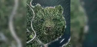 O que você vê primeiro nessa imagem pode expor o seu maior segredo emocional: ‘muito sociável’ ou ‘explosivo por dentro’?