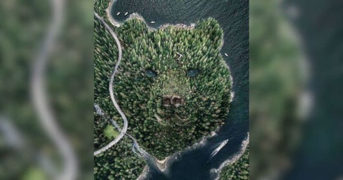 O que você vê primeiro nessa imagem pode expor o seu maior segredo emocional: ‘muito sociável’ ou ‘explosivo por dentro’?