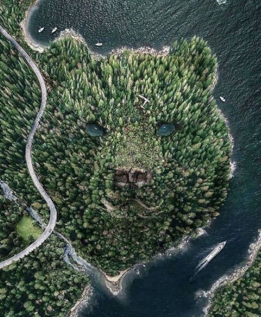 sabiaspalavras.com - O que voc&ecirc; v&ecirc; primeiro nessa imagem pode expor o seu maior segredo emocional: 'muito soci&aacute;vel' ou 'explosivo por dentro'?