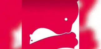 O que você vê primeiro nesta ilusão de ótica revela se você é ‘livre demais’ ou ‘emocionalmente fechado’