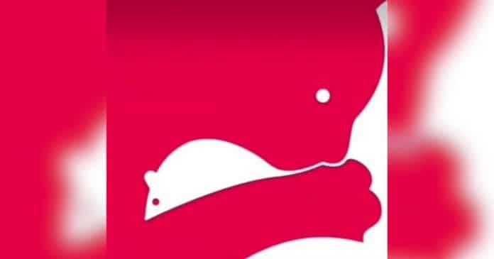 O que você vê primeiro nesta ilusão de ótica revela se você é ‘livre demais’ ou ‘emocionalmente fechado’