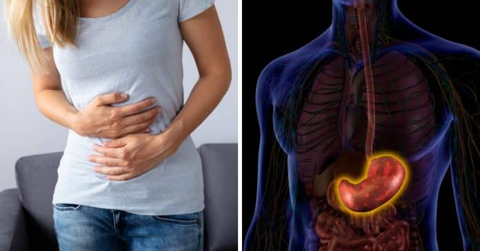 Quando o estômago ronca, não é apenas fome: entenda o que realmente acontece no corpo quando isso acontece