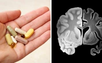 sabiaspalavras.com - S&aacute;bias Palavras