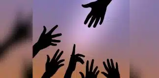 sabiaspalavras.com - S&aacute;bias Palavras