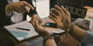 sabiaspalavras.com - S&aacute;bias Palavras