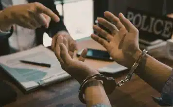 sabiaspalavras.com - S&aacute;bias Palavras